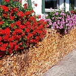 Séjour chez l'habitant Postalm *